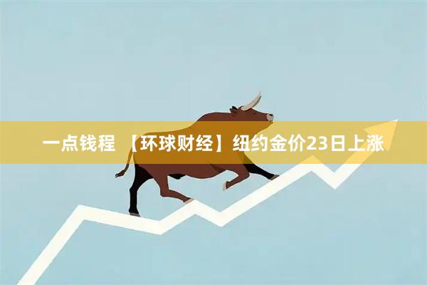 一点钱程 【环球财经】纽约金价23日上涨
