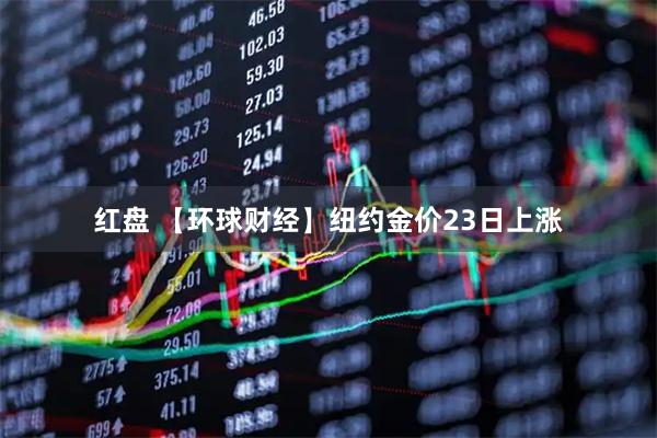红盘 【环球财经】纽约金价23日上涨