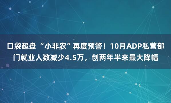 口袋超盘 “小非农”再度预警！10月ADP私营部门就业人数减少4.5万，创两年半来最大降幅