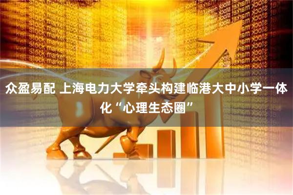众盈易配 上海电力大学牵头构建临港大中小学一体化“心理生态圈”