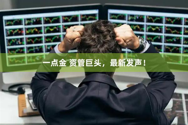 一点金 资管巨头，最新发声！